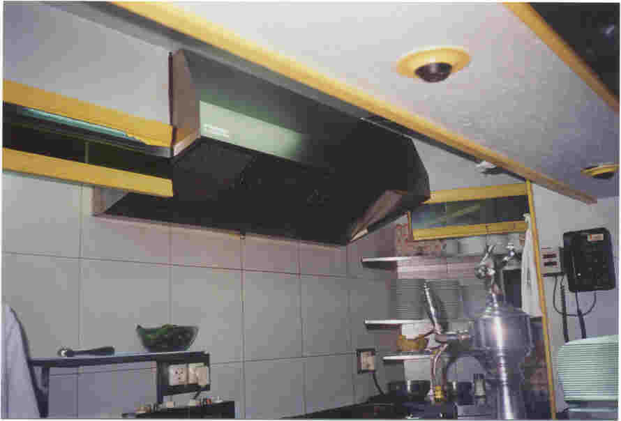 Campana de cocina industrial